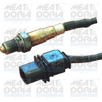 Oxygen Sensor